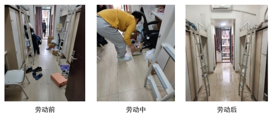 伟德bv国际体育