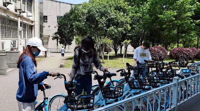伟德bv国际体育