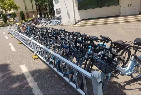 伟德bv国际体育